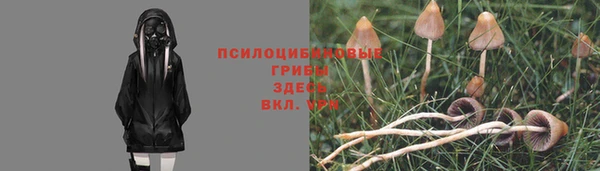 сатива Алексин