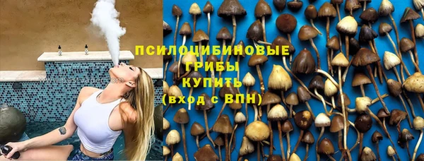 гидропоника Алзамай