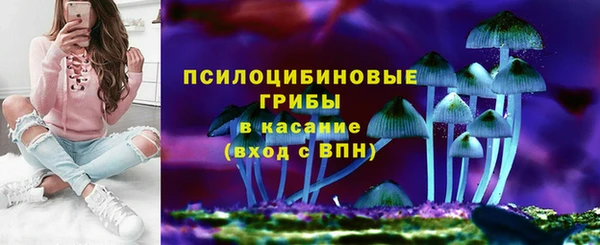 гидропоника Алзамай