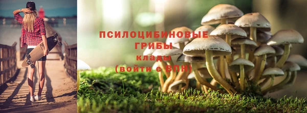 сатива Алексин