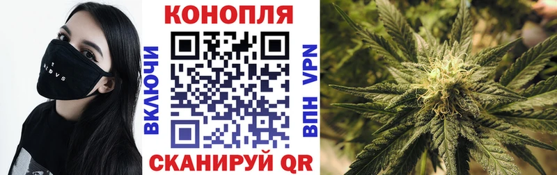 купить цена Беломорск Марихуана VHQ